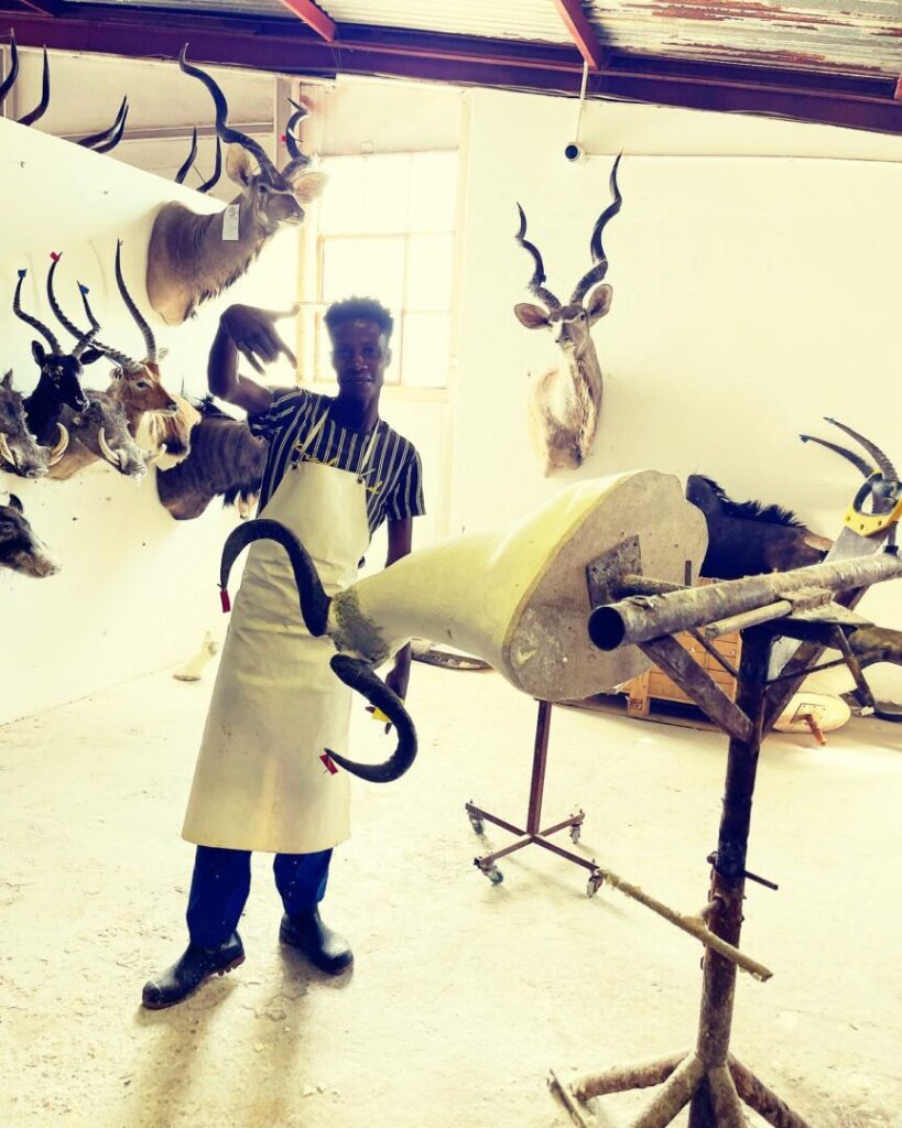 Cradle of Man Taxidermy 03
